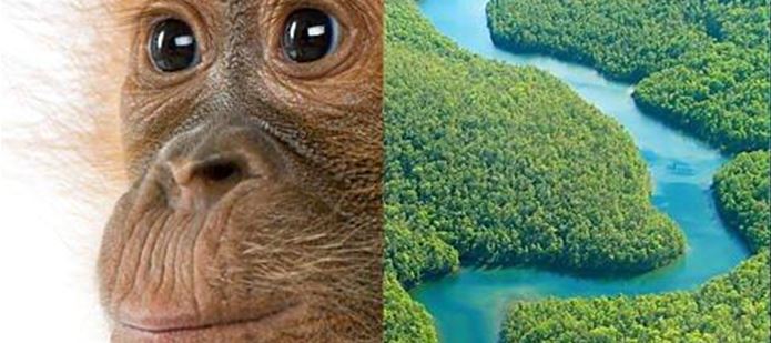 CABI celebrates Earth Day